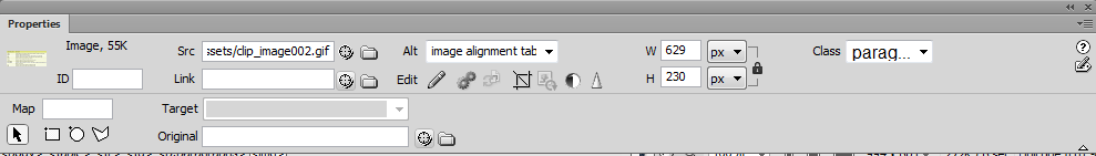 properties panel for images